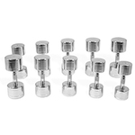 Chrome dumbbells (12 to 20 kg)