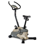 Proteus Engine V6 Gold Exercise Bike